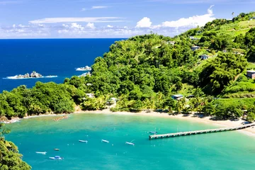 Cercles muraux Caraïbes Baie de Parlatuvier, Tobago