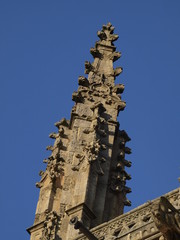 Detalle del pórtico de la Catedral Nueva de Salamanca