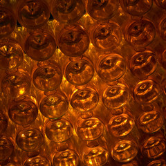 wine archive in wine cellar, Czech Republic