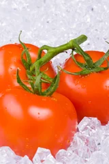 Foto auf Acrylglas Tomaten auf Eis © plotnik