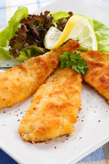 Fried fish fillet with vegetables