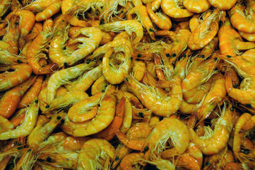 shrimps