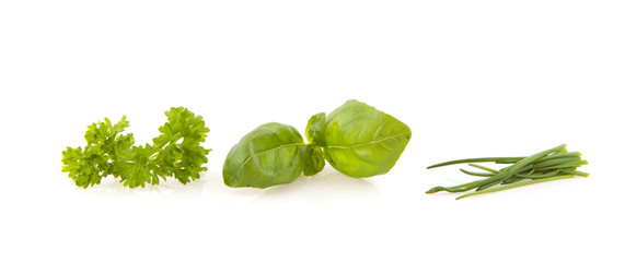 Obraz premium Herbs