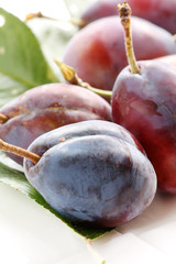 Plums on a white background