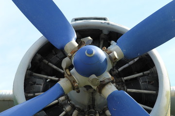 ilmax72_A0960