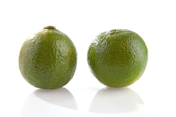 fresh lime over white background