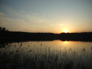 Obraz premium Decline on lake in a wood