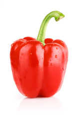 fresh single pepper fruit isolated