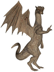 Fototapeta premium Rock dragon