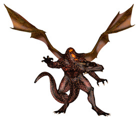 Fototapeta premium Fire dragon