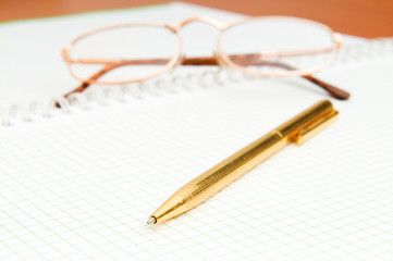 Pen and eye glasses on the page