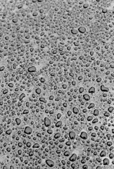 Motorhaube mit Regentropfen,grau