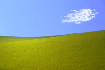 Wiese und Himmel