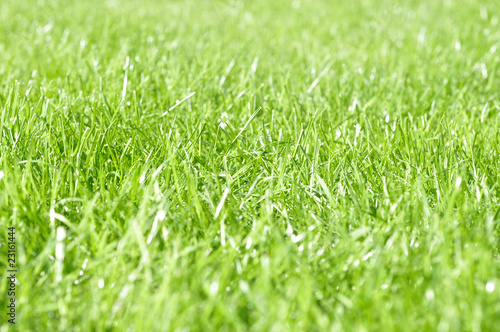 "Rasen Sportplatz" Stockfotos und lizenzfreie Bilder auf Fotolia.com