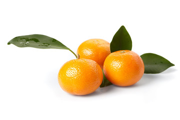 fresh tangerines on the white background