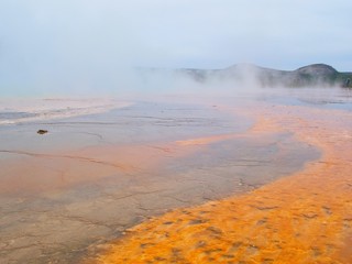 Geyser magnifique