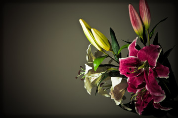 Pink Lilien