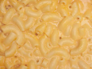 Macaroni and Cheese