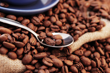 coffee beans and spoon