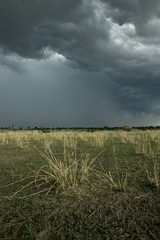 Rain cloud over Africa landscape, Serengeti National Park, Seren
