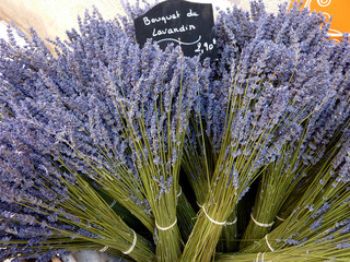 bouquets de lavandin