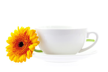 white cup and a flower isolated on white
