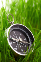 compass in green grass