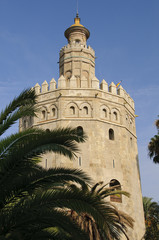 Fototapeta na wymiar Seville - Torre del Oro
