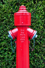 Hydrant V2