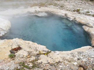 Geyser dans le parc du Yellowstone
