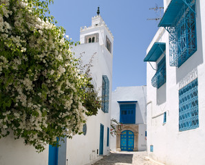 Jasminstrauch mit Kirche in Sidi Bou Said