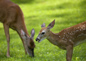 Mother and child