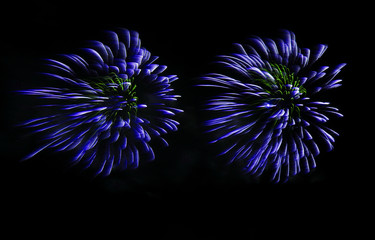 Fireworks display