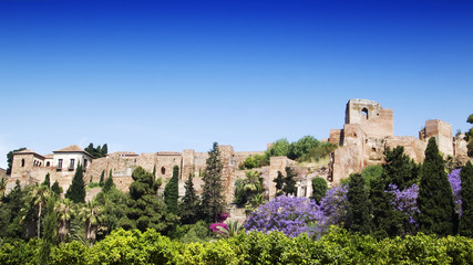 Fototapeta premium La Alcazaba de Málaga
