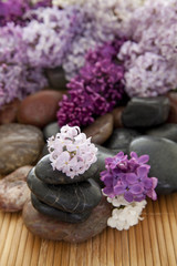 Fototapeta na wymiar Rock pile with flowers
