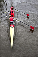 Coxed four from above