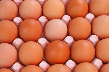 Shell eggs pack overhead shot