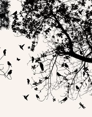 Abwaschbare Fototapete Vögel am Baum Baum