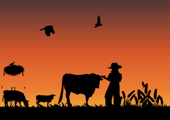 Obraz na płótnie Canvas Cowboy w polu