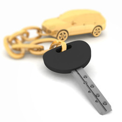 pendant on the keys of the car