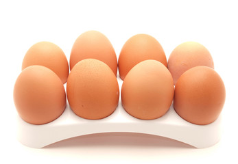 Eggs on a support
