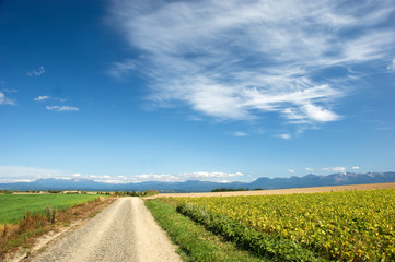 北海道・初秋d-25