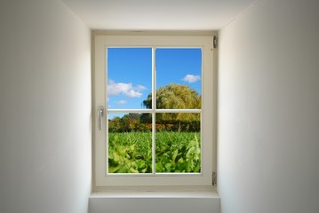 Obraz na płótnie Canvas window and nature