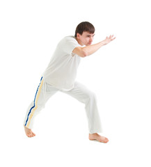 capoeira dancer posing © Fanfo