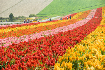 北海道・初秋d-58