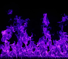 Magenta Flamme