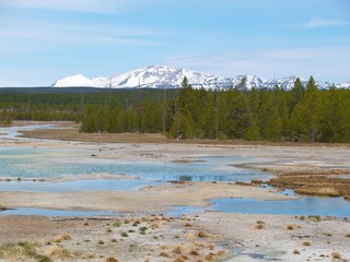 Calmes geysers