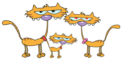 Family Cats