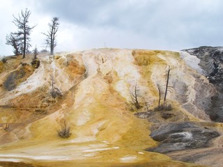 Terrasses volcaniques