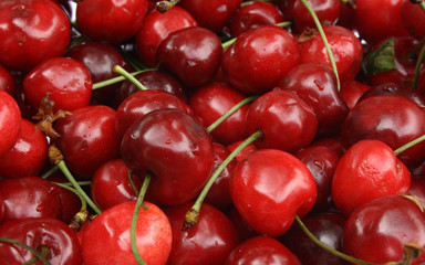 sweet cherry background
